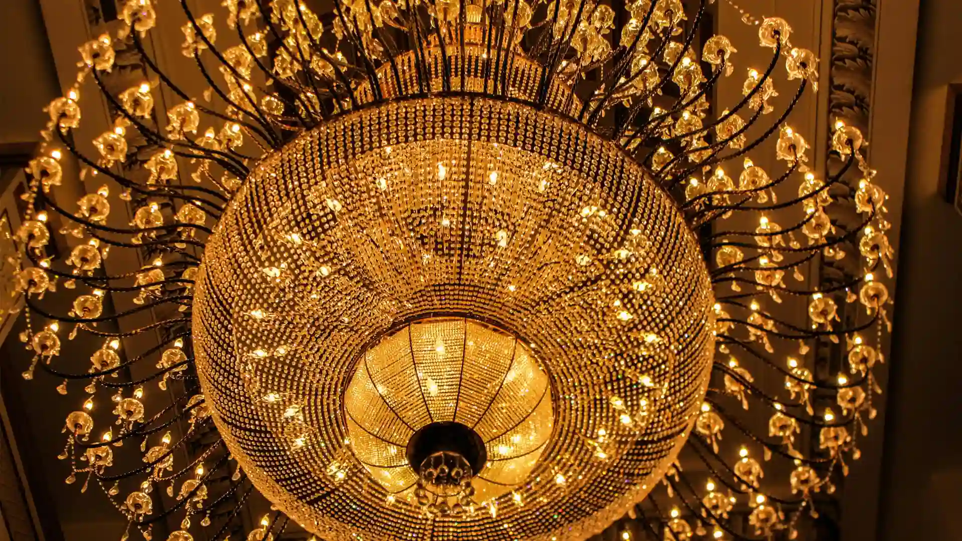 Best Buy Chandelier in Ludhiana